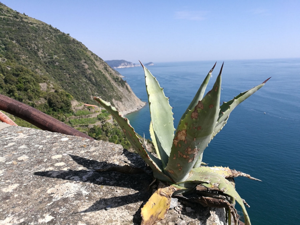 Schiara e Monesteroli, 4000 scalini verso il Paradiso 