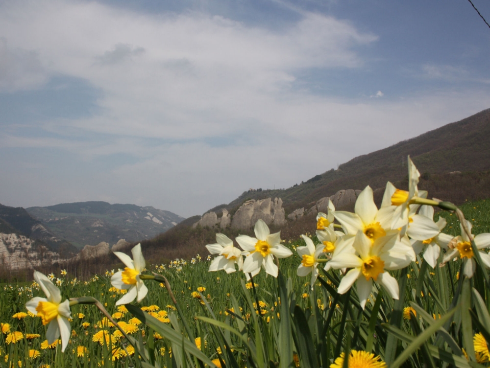 I salti del diavolo (o Via degli Scalpellini)