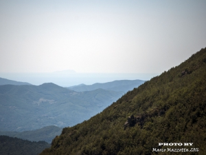 Il mare e l'isola (foto Marco Mazzotta)