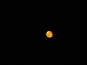 La magica luna, dal nulla (foto Giuseppe Burani)