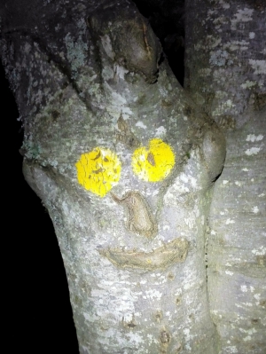 Smile (foto Luca Bertolotti)