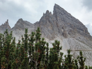 (foto Fabio Cavazzini)