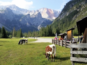 In attesa del bus, a Ponticello (foto Fabio Cavazzini)