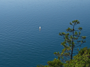 Infinito (foto Irena Nekrasova)