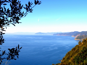 Verso ponente (foto Jenny Guarnieri)