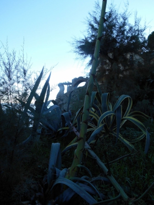 Il gigante di Monterosso