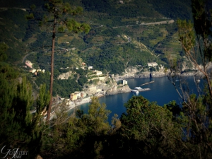 Monterosso dall'alto (foto Jenny Guarnieri)