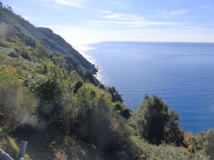 (foto Giuseppe Burani)