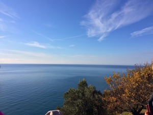 (foto Raffaella Bonfanti)