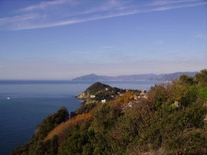 (foto Dario Fioravanzi)