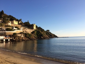 (foto Raffaella Bonfanti)