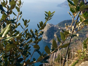 (foto Dany Segadelli)