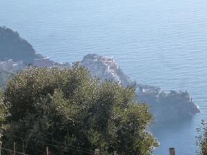 (foto Alessandro Morini)