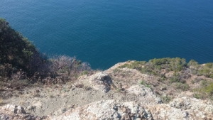 Dal salto della lepre