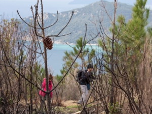 Il paesaggio lunare del dopo incendio (foto Cesare Groppi)
