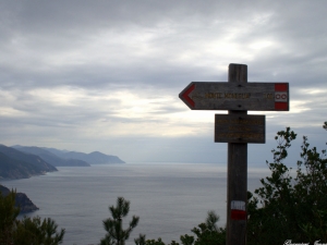 (foto Jenny Guarnieri)