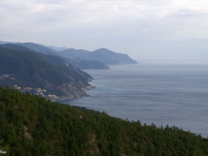 (foto Jenny Guarnieri)