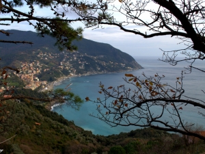 (foto Jenny Guarnieri)