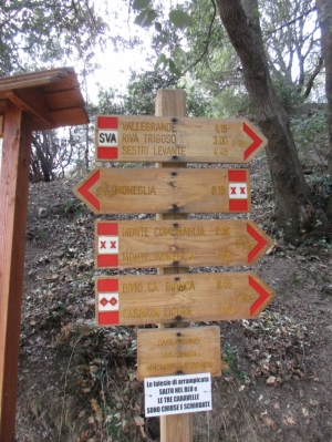 Quasi arrivati (foto Lorenzo Varani)