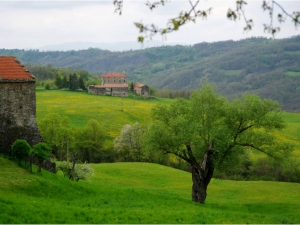 (foto Cesare Pozzoli)