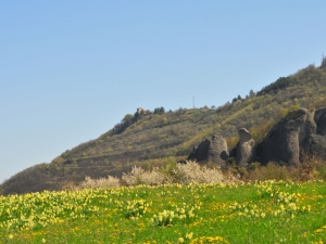 (foto Augusto Ferrari)