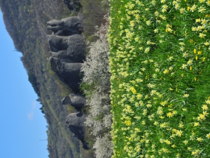 (foto Augusto Ferrari)