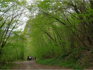 (foto Cesare Pozzoli)