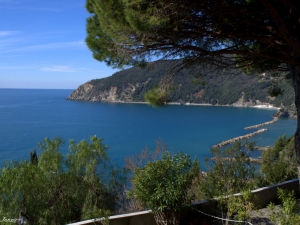 (foto Jenny Guarnieri)