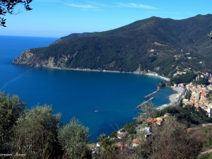 (foto Jenny Guarnieri)