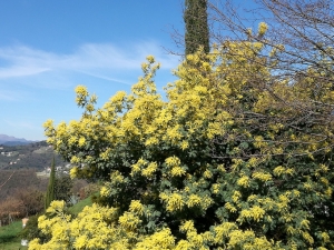 (foto Rossana Passera)