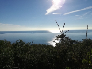 (foto Rossana Passera)