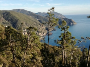 (foto Rossana Passera)