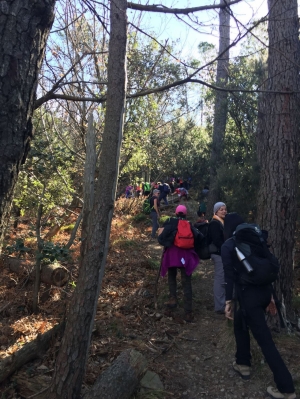 (foto Andrea Sichel)