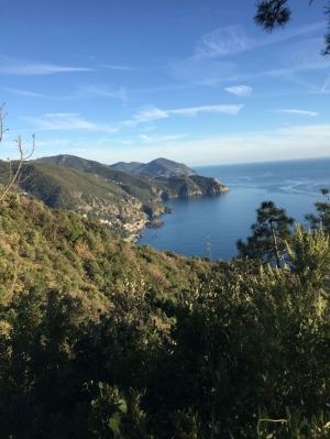 (foto Andrea Sichel)