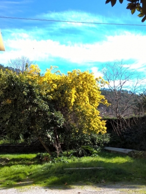 (foto Cristina Soncini)