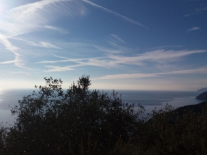 (foto Giulia Barbacini)