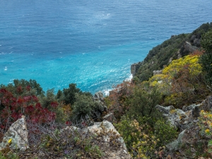 Tutti i colori della macchia e il blu cobalto (foto Paola Salvanelli)