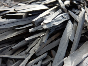 La pietra coltellina (foto Augusto Ferrari)