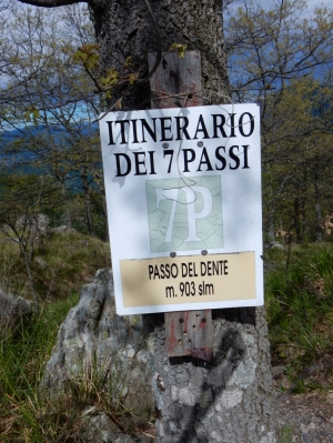 (foto Augusto Ferrari)