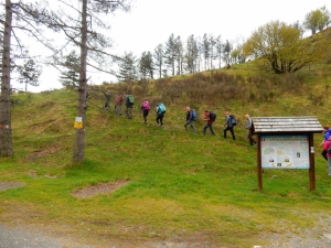 Partenza (foto Augusto Ferrari)