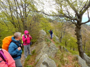 La cresta del Ramaceto (foto Augusto Ferrari)