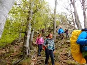 (foto Augusto Ferrari)