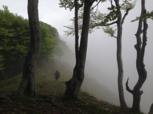 (foto Paola Salvanelli)