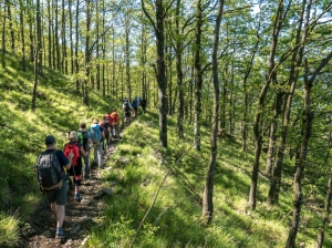 (foto Paola Salvanelli)