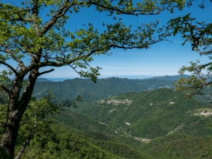 (foto Paola Salvanelli)