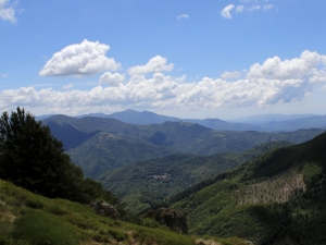 (foto Barbara Manferdini)