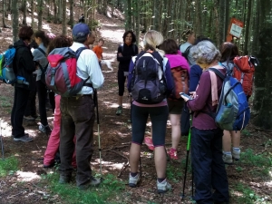 (foto Fabio Cavazzini)