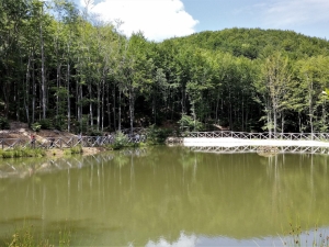 (foto Fabio Cavazzini)