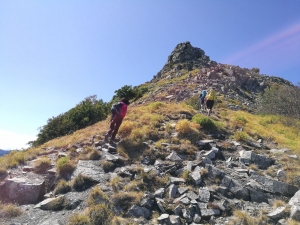 Il dente della vecchia
