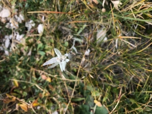 (foto Clara Dughetti)